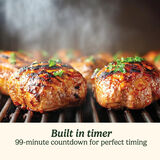 Cuisinart Programmable Digital Temperature Fork