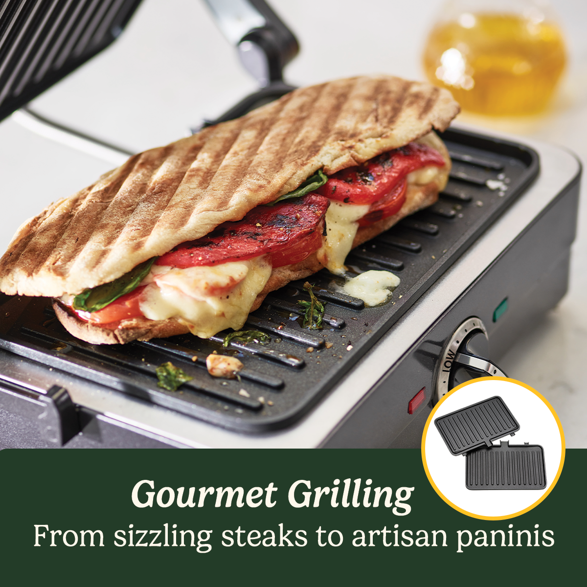 Cuisinart Panini Press Grilled Cheese Cuisinart Panini Griddle