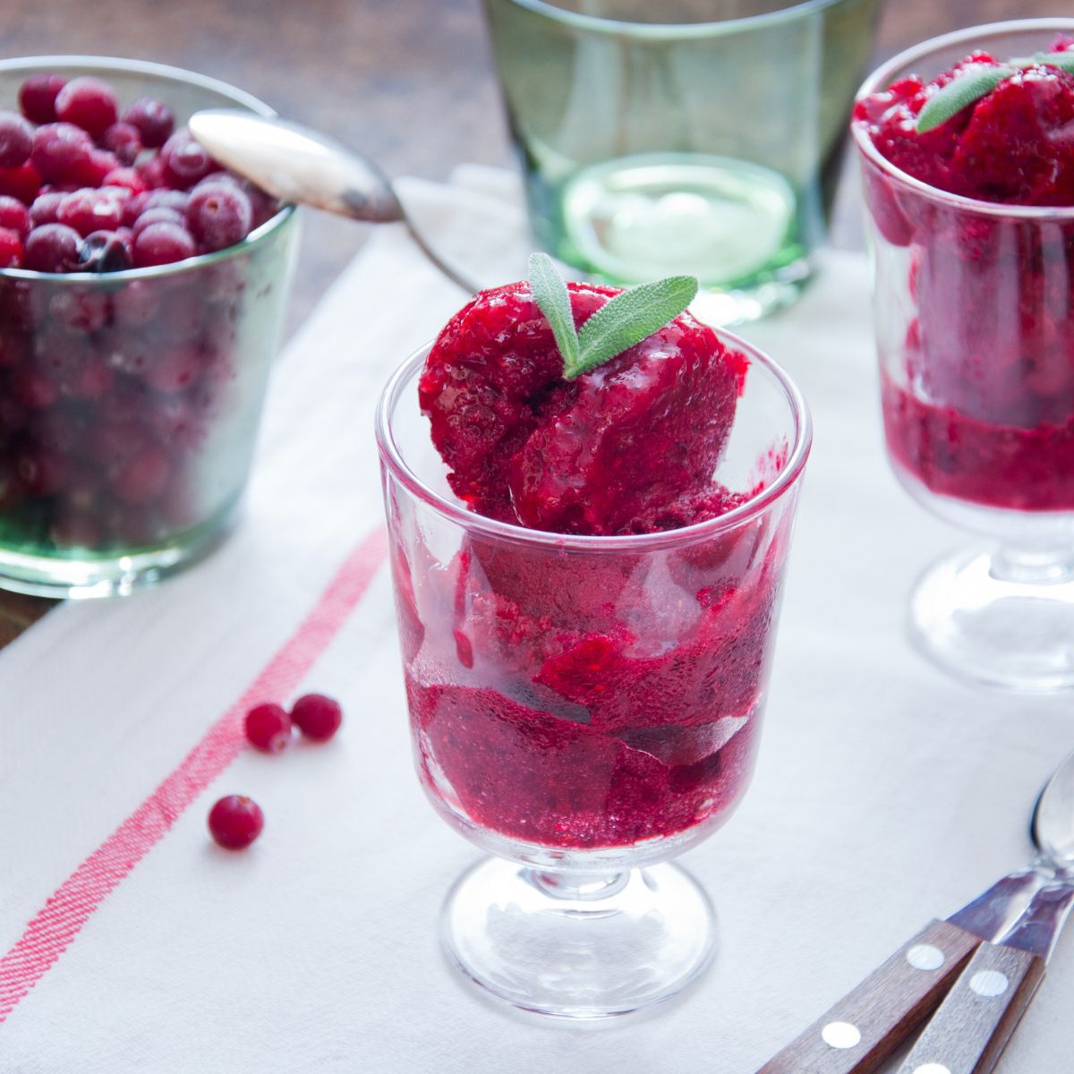 Cranberry Sorbet-1