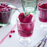 Cranberry Sorbet-1