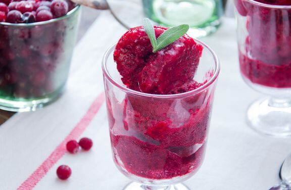 Cranberry Sorbet