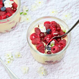 Red Berry Tiramisu-1