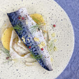 Steamed Mackerel and Fennel-1