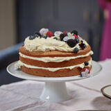 Berry Layer Cake-1