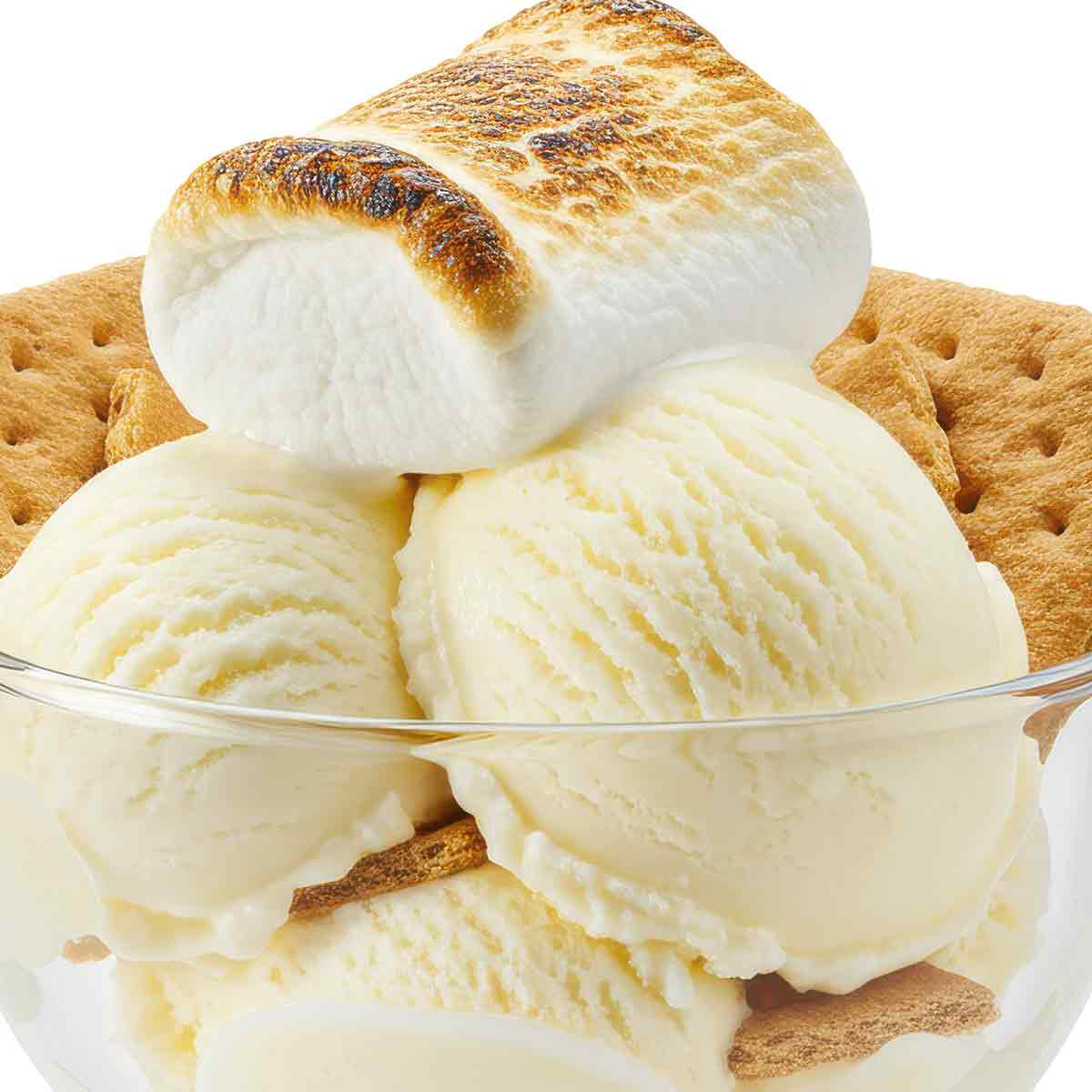 S'mores Ice Cream-1