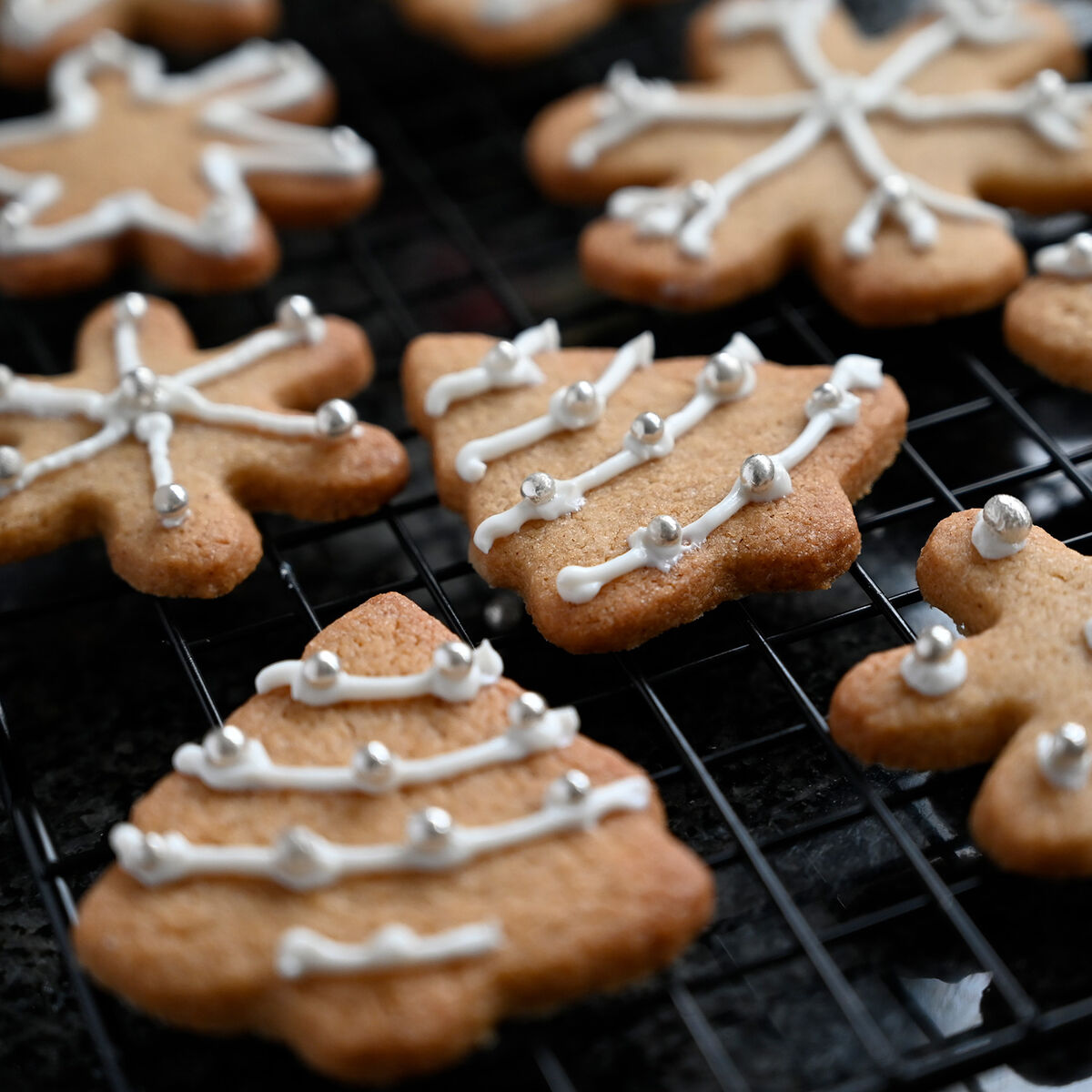 Gingerbread Biscuits-1