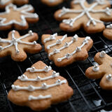 Gingerbread Biscuits-1