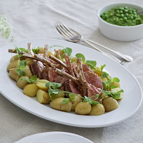 Minted jersey royals sales